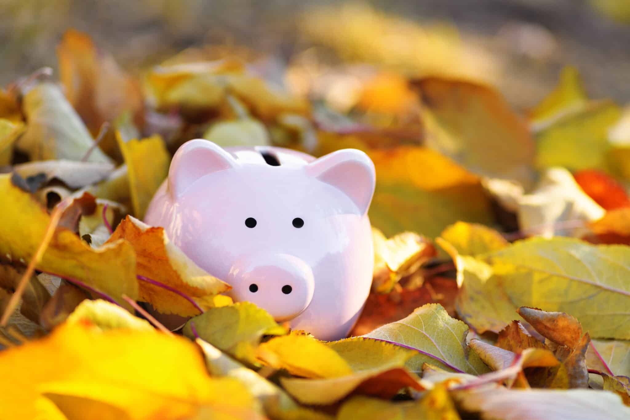 iStock-1346103908-scaled